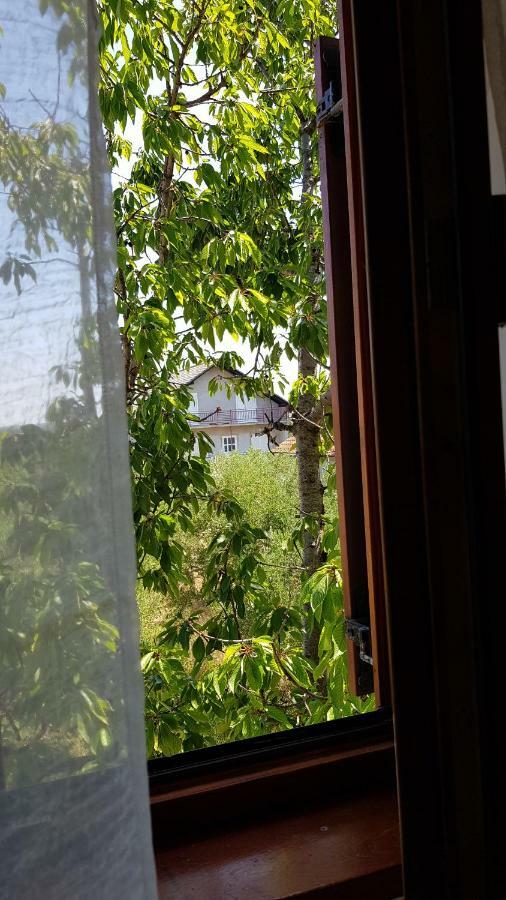 Villa Letina Sukošan Екстериор снимка